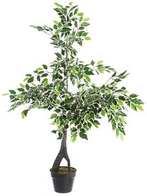 Planta artificiala Ficus Variegat. in ghiveci. 120 cm inaltime
