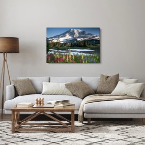 Tablou - Muntele Rainier (90x60 cm)