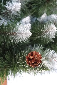 Pom uimitor acoperit de zăpadă, pin pe un trunchi de 220 cm