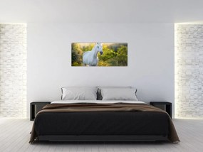 Tablou - Cal alb în poină (120x50 cm)
