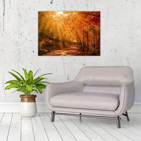 Tablou pe sticlă cu pădurea în toamnă (70x50 cm)