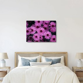 Tablou cu florile roz (70x50 cm)