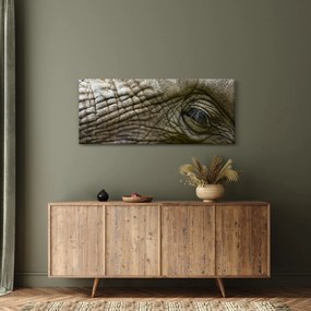 Tablou - Prim-planul ochiului de elefant vechi (120x50 cm)