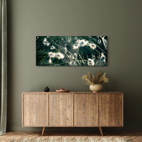 Tablou - Pânză de păianjen (120x50 cm)