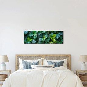 Tablou - Plante verzi (cu ceas) (90x30 cm)