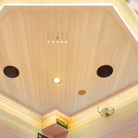 Infračervená sauna/tepelná kabína Nyborg E150V s plným spektrom, panelovými radiátormi a drevom Hemlock