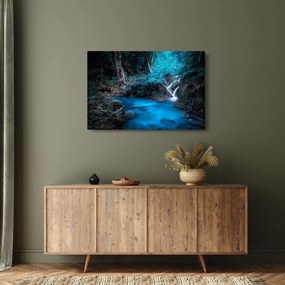 Tablou - Noaptea magică în pădurea tropicală (90x60 cm)