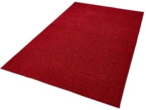 Covor Hanse Home Pure, 160x240 cm, roșu