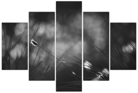 Tablou - Iarbă de pajiște (150x105 cm)