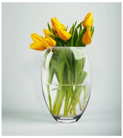 Vază din sticlă – Orion