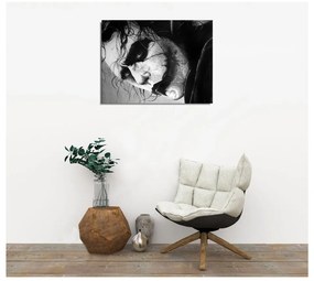 Tablou pe pânză Joker, 40 x 30 cm