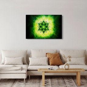 Tablou - Mandala de flori, fundal verde (90x60 cm)