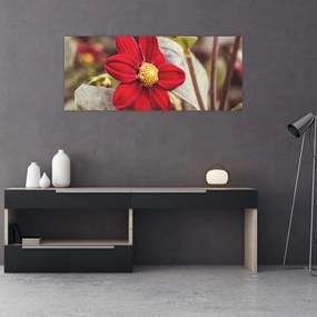 Tablou cu floare (120x50 cm), în 40 de alte dimensiuni noi