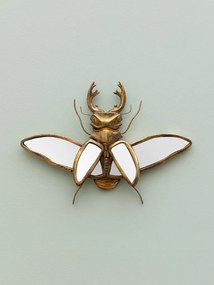 Oglinda decorativa, de perete, din rasina, Beetle