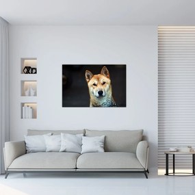 Tablou cu câine (90x60 cm)