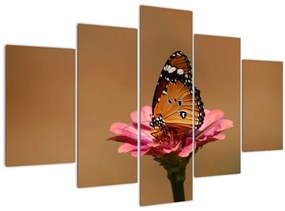 Tablou cu fluture pe floare (150x105 cm)