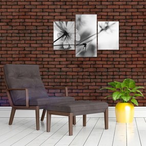 Tablou - Flori alb-negru (90x60 cm)