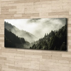 Tablou pe pânză canvas Ceață peste pădure