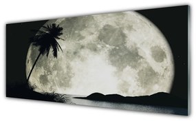 Tablouri acrilice Noapte Luna Palm Peisaj Negru Gri Alb