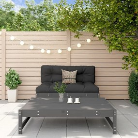 3186587 vidaXL Set mobilier relaxare grădină, 2 piese, gri, lemn masiv de pin