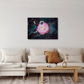 Tablou pe sticlă cu floare roz (70x50 cm)
