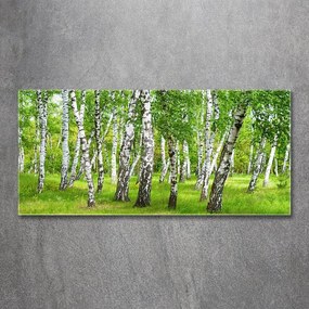 Tablou acrilic Pădurea de mesteacăn