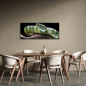 Tablou - Șarpele cu clopoței al lui Wagler (120x50 cm)