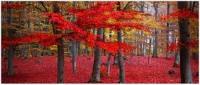 Tablou - Pădurea roșie (120x50 cm)