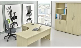 Set mobila birou Visio 9, stanga, paltin