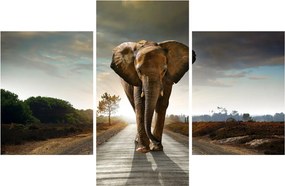 Tablou cu elefant (90x60 cm)