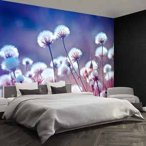 Fototapet Flori Meadow