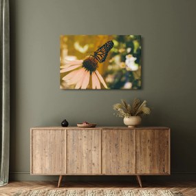 Tablou cu fluture pe floare (90x60 cm)