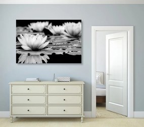 Tablou floare de lotus în design alb-negru