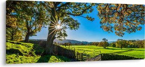 Tablou Privire la câmp (120x50 cm)