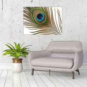 Tablou pe sticlă cu pene de păun (70x50 cm)