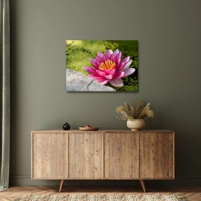 Tablou - Lotus (70x50 cm)