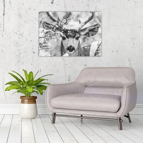 Tablou pe sticlă - Cerb în timpul iernii (70x50 cm)