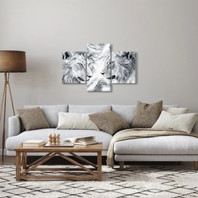 Tablou - Capete de lei desenate (90x60 cm)