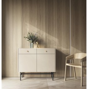 Comodă Desanta 2D2SZ (bej + negru). 1082794