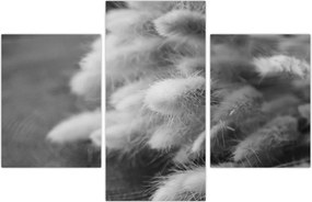 Tablou - iarbă de coadă de iepure pe masă (90x60 cm)