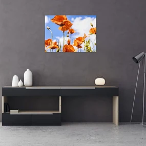 Tablou cu macii (70x50 cm), în 40 de alte dimensiuni noi