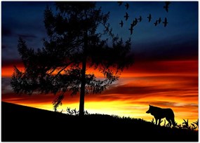 Tablou - Silueta unui lup (70x50 cm)