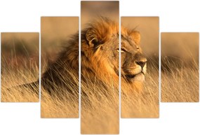 Tablou - Parcul Național Etosha (150x105 cm)