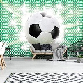 Fototapet - Minge de fodbal (152,5x104 cm), în 8 de alte dimensiuni noi