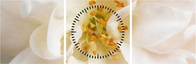 Tablou - Floare (cu ceas) (90x30 cm)