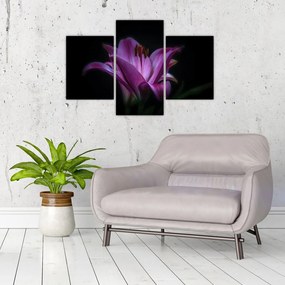 Tablou crinul (90x60 cm)