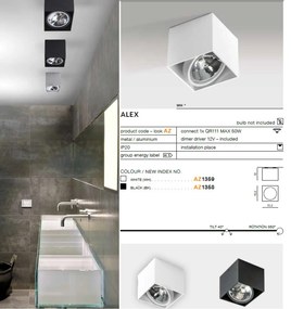 Spot aplicat directionabil de tavan/plafon ALEX negru ZZ AZ1358
