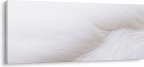 Tablou - Pană albă (120x50 cm)