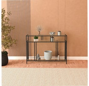 Raft Venedikt (negru). 1107796