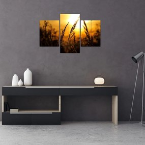 Tablou - Apus de soare (90x60 cm)